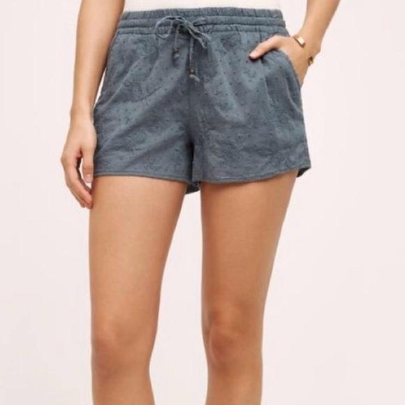 Anthropologie Pants - Anthropologie Hei Hei Embroidered Shorts